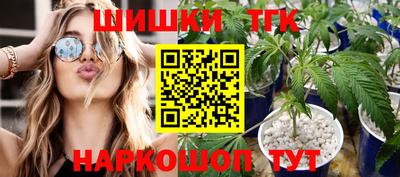 индика Мариинск
