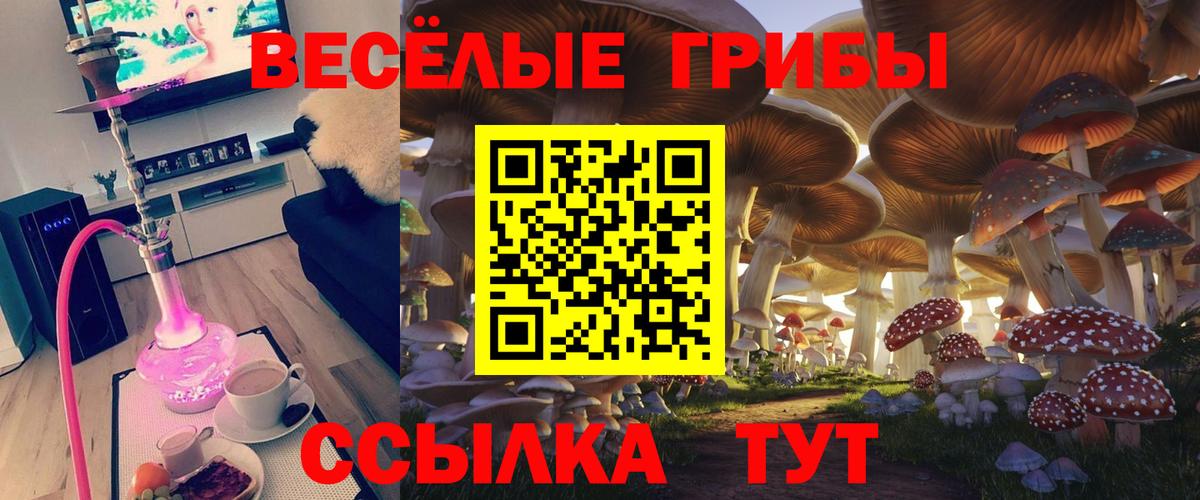 Верхняя Салда  Псилоцибиновые грибы MAGIC MUSHROOMS  как найти   Вход с VPN 